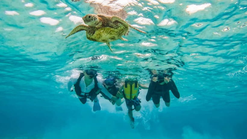 Snorkeling Activity in Okinawa Miyako Japan - Free photo data and equipment rental, plus how to get what you want