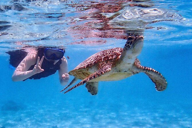 Snorkeling Activity in Okinawa Miyako Japan - Shigira Beach meeting point and the pre-water routine