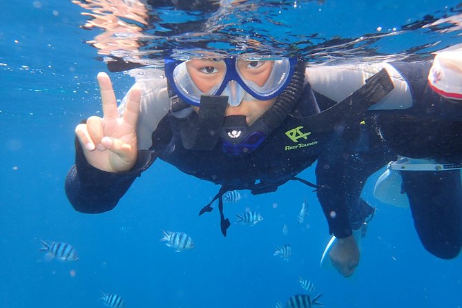 Snorkeling in the Blue Cave area【Okinawa Prefecture: Free feeding & photo images!English and Chinese speaking guide available! - Blue Cave expectations: what you’ll see and how it feels