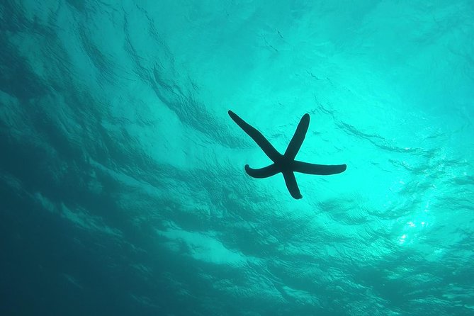 Snorkeling in the Blue Cave area【Okinawa Prefecture: Free feeding & photo images!English and Chinese speaking guide available! - Gear notes: life vest, stairs, and what you can do to feel better