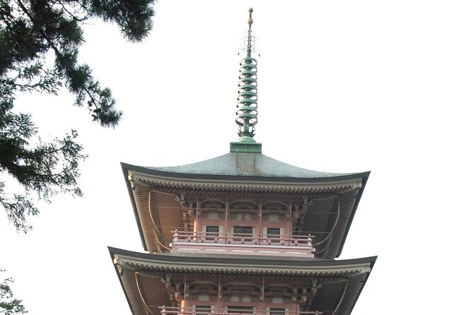 Snow Monkey Park & Zenkoji Temple Nagano Pvt. Full Day Tour. - Should you book this Snow Monkey and Zenko-ji day trip?