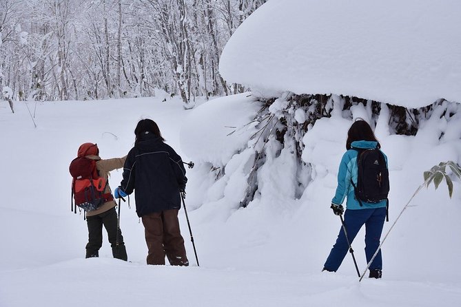 Snowshoe Hike Tour from Sapporo include hotel p/up & drop off - Nakayama Pass Snowshoe Hike: Quiet Trails and First-Time-Friendly Instructions
