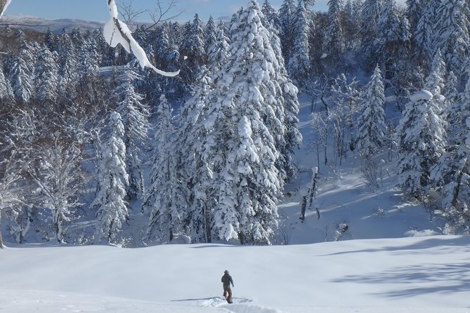Snowshoe Hike Tour from Sapporo include hotel p/up & drop off - Jozankei Onsens Stop: How the Onsen Fits the Snowshoe Day