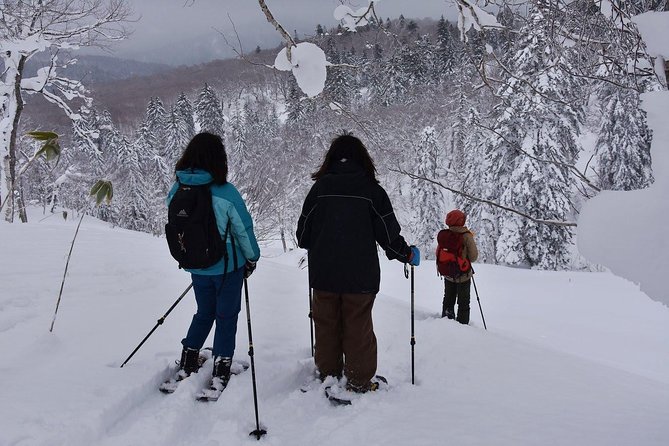 Snowshoe Hike Tour from Sapporo include hotel p/up & drop off - Snacks, Tea, and the Lunch Gap You Need to Plan For