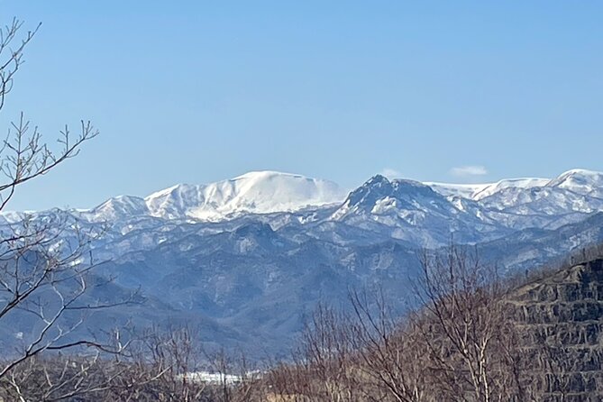 Snowshoeing and Onsen Adventures in a Winter Wonderland -Sapporo. - Key Things That Make This Snowshoeing and Onsen Day Work