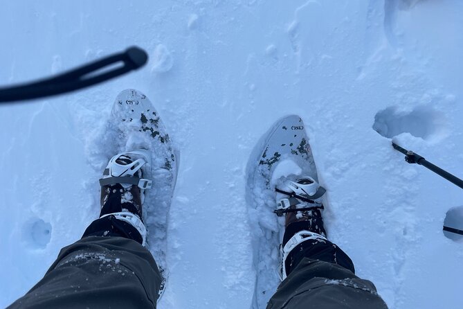 Snowshoeing and Onsen Adventures in a Winter Wonderland -Sapporo. - Getting There: 7:30 a.m. at Makomanai, Then Quick Transfer to the Trail