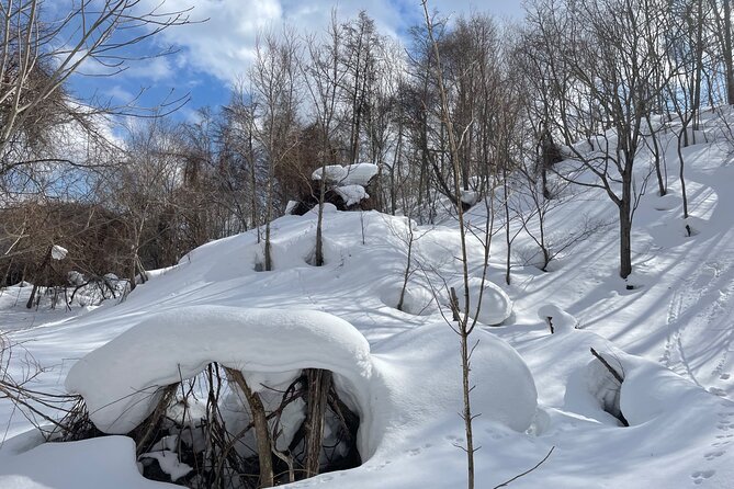 Snowshoeing and Onsen Adventures in a Winter Wonderland -Sapporo. - The 5-Hour Snowshoe Circuit: Pace, Terrain, and What Difficulty 4/10 Means