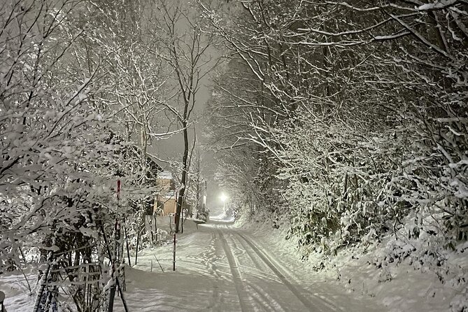 Snowshoeing and Onsen Adventures in a Winter Wonderland -Sapporo. - Price and Value: What $224.02 Covers, and What It Doesn’t