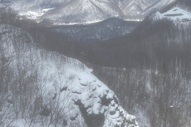 Snowshoeing and Onsen Adventures in a Winter Wonderland -Sapporo. - Pickup, Group Comfort, and How the Day Flows From Start to Finish