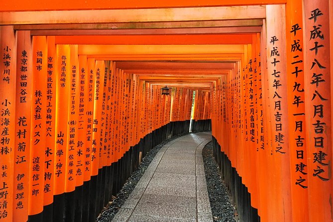 South Kyoto in a Nutshell: Gentle Backstreet Bike Tour! - Price and value: what $79.59 gets you in real terms