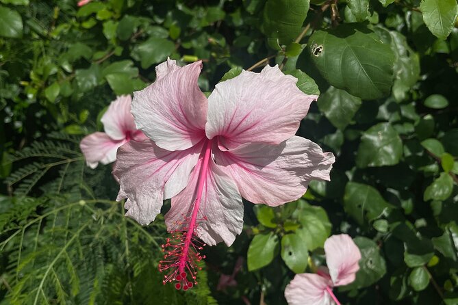 Spirit of Ishigaki: Explore the land and Lore - Who This Tour Suits Best