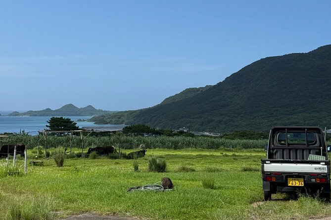 Spirit of Ishigaki: Explore the land and Lore - Should You Book Spirit of Ishigaki?