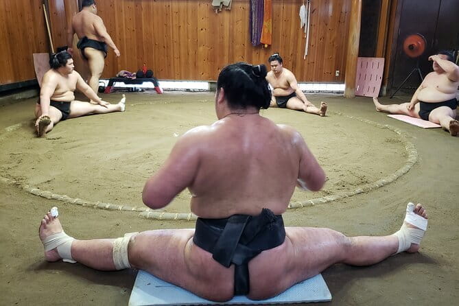 Sumo Practice Viewing Guided Tour and Photo with Sumo Wrestlers - Key Takeaways Before You Go
