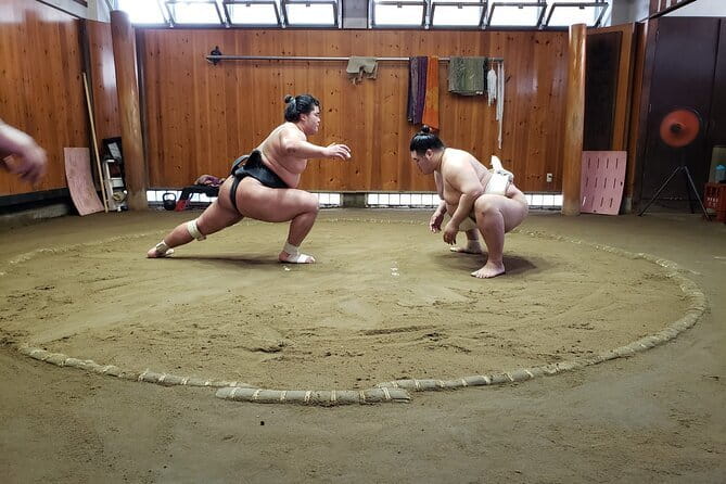 Sumo Practice Viewing Guided Tour and Photo with Sumo Wrestlers - Why Tatsunami-beya Training Hall Matters in Tokyo