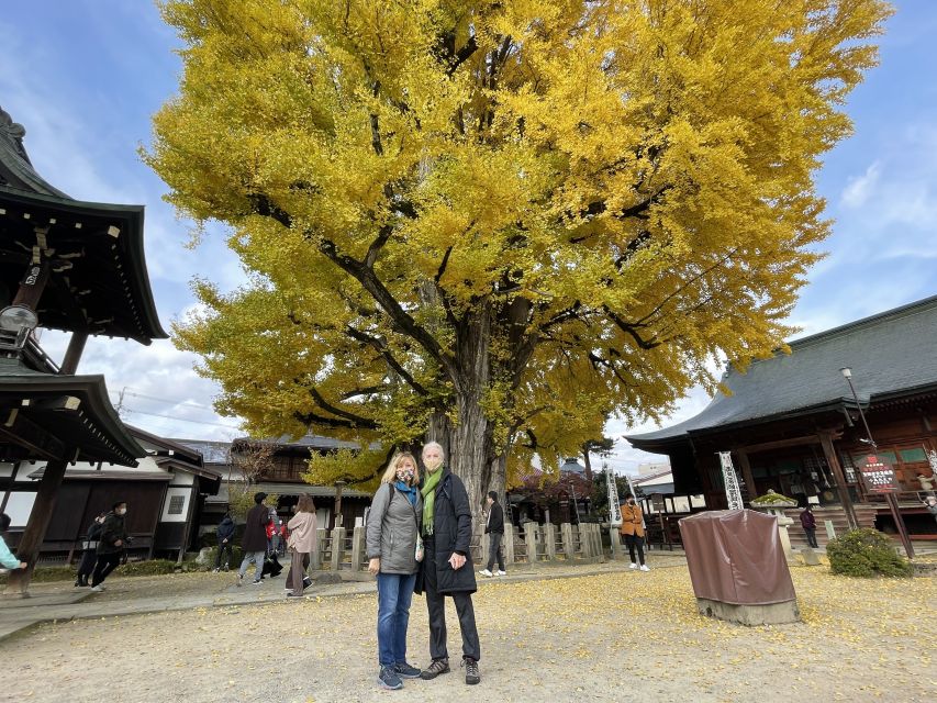 Takayama: Private Walking Tour with a Local Guide - Quick highlights