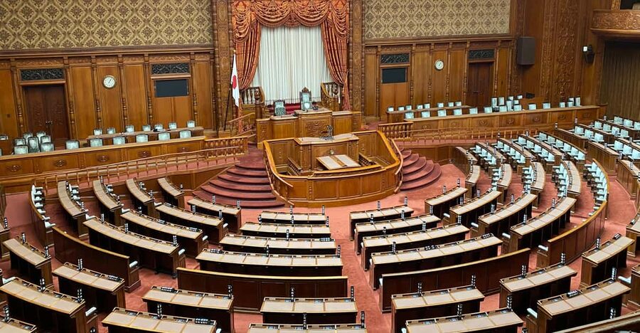 Tameike: Exploring the Heart of Japanese Politics Tour - Why Hie Shrine fits right after politics