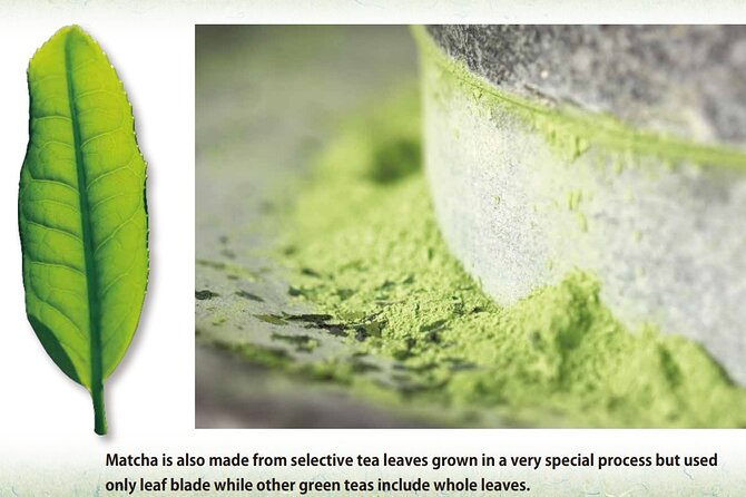 Tea Ceremony Workshop in Tokyo by the Experienced Instrucor - Tea Bowls and How Shape Changes the Experience