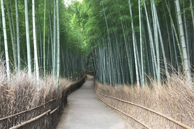The Art of Geisha: Exclusive Show & Gion Walking Tour - Who should book this Geisha and Gion walking tour