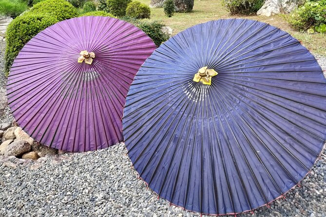 The Art of Mindful Living: Tea Ceremony in Kyoto - Who This Experience Fits Best