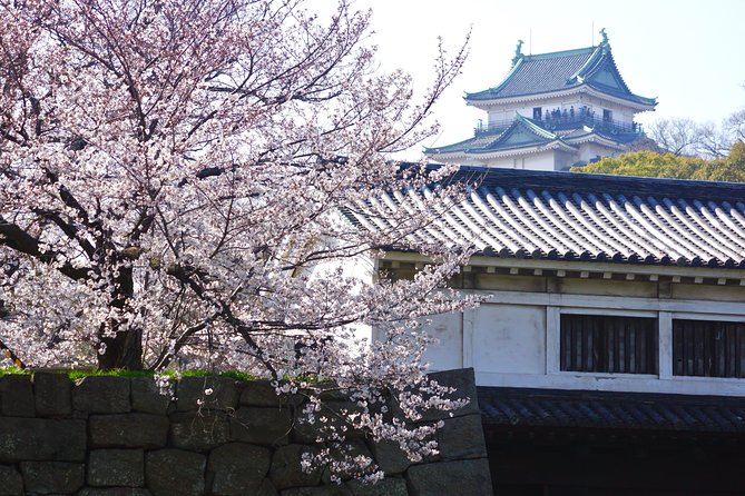 The Best of Wakayama City Private Tour - Stop 2: Tama Museum Kishi Station and the cat station master