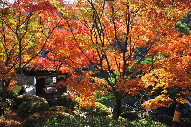 The Best of Wakayama City Private Tour - Stop 1: Wakayama Castle, views and the stair reality