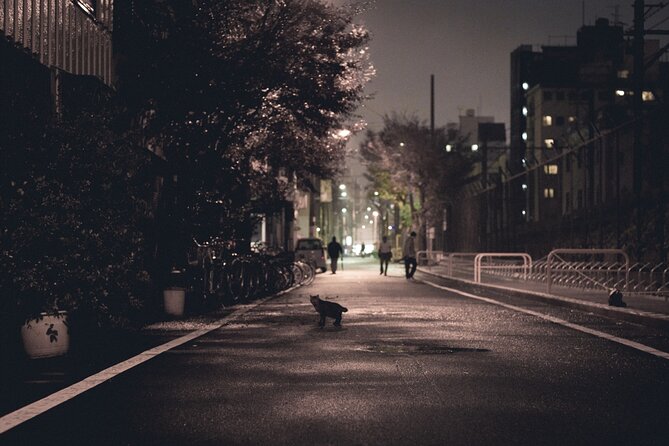 The Dark Side of Osaka Walking Tour - Value check: is $25 worth two hours of night walking?