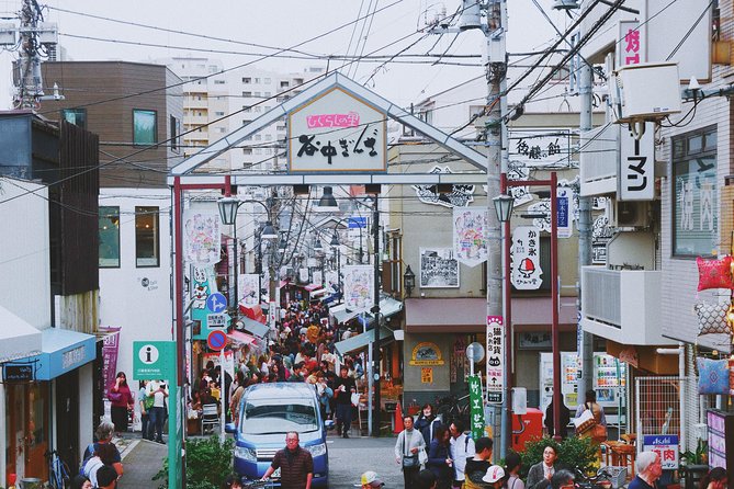 The Old Quarter of Tokyo - Yanaka Walking Tour - The Group Size and Pace, What to Expect
