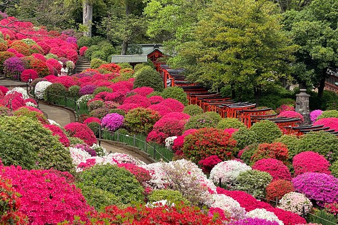 The Old Quarter of Tokyo - Yanaka Walking Tour - Who This Tour Suits Best