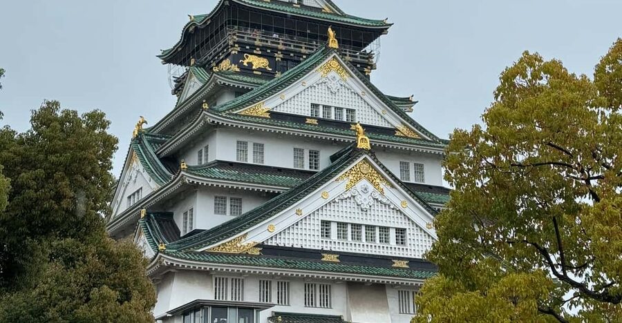 (Ticket Included) Explore Osaka Castle & Museum of History - Two ways to start: early Osaka Castle Park walk or the Museum of History plus castle