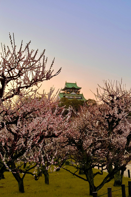 (Ticket Included) Explore Osaka Castle & Museum of History - Osaka Museum of History: the 10th-floor Naniwa Palace dioramas