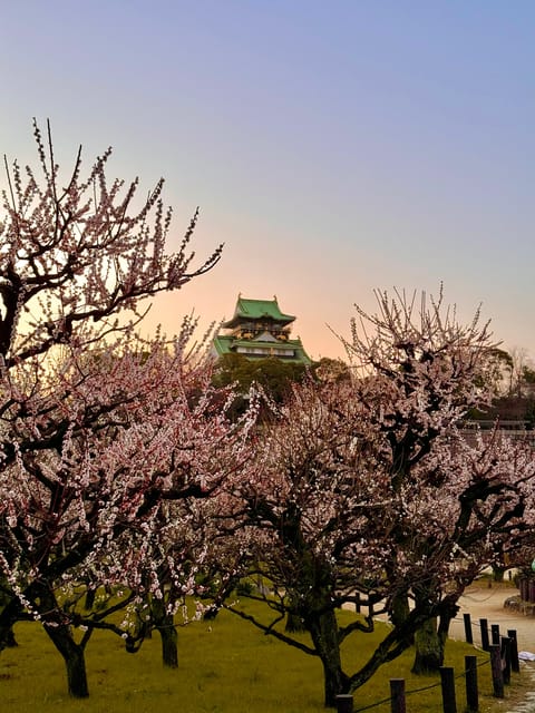 (Ticket Included) Explore Osaka Castle & Museum of History - How Edo period merchant culture shapes what you notice next