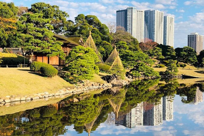 Tokyo 1-Day Bus Tour, pickup from 28 designated hotels in Tokyo - Meiji Jingu: A Quiet Start With a Clear Purpose