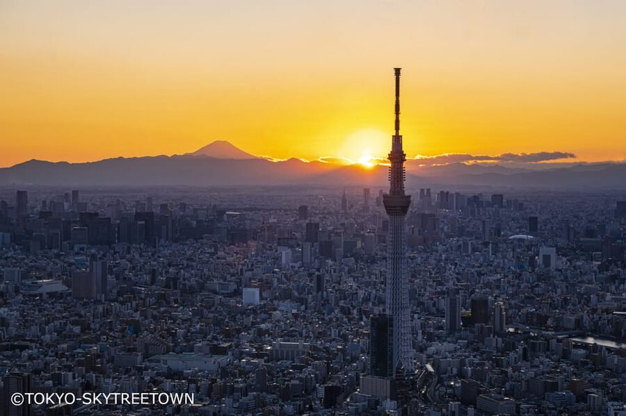 Tokyo: 1 Day Bus Tour with Meiji-Jingu,Odaiba,lunch&Skytree - Key highlights you should care about