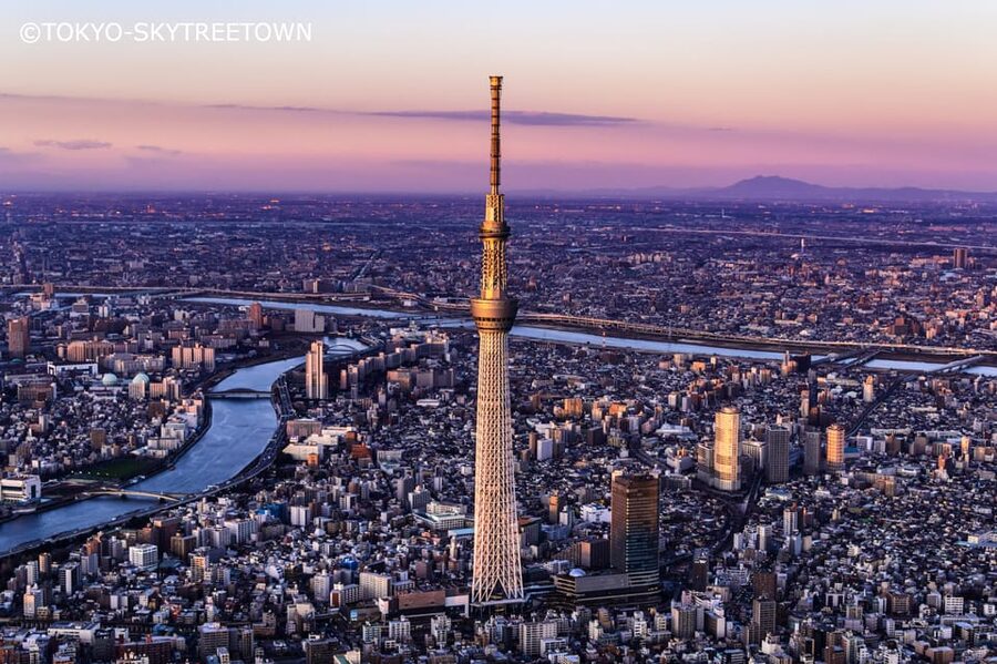 Tokyo: 1 Day Bus Tour with Meiji-Jingu,Odaiba,lunch&Skytree - A smooth day plan that actually fits real Tokyo time