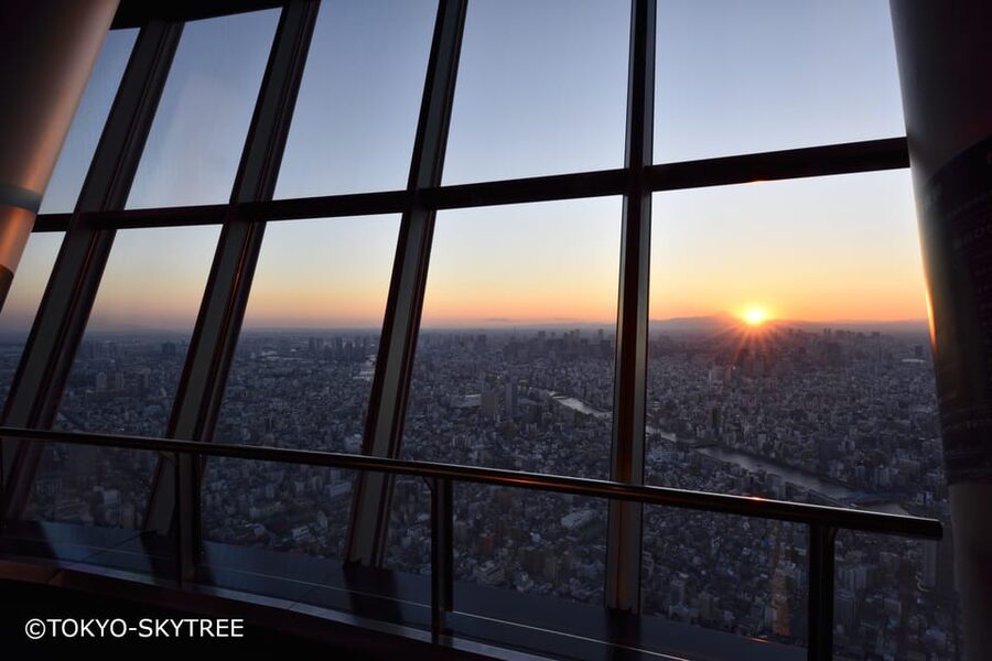 Tokyo: 1 Day Bus Tour with Meiji-Jingu,Odaiba,lunch&Skytree - Bus comfort, group pacing, and how the guide keeps you together