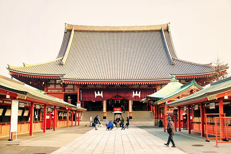 Tokyo: 1-Day Private Customizable Tour by Car - Why Tokyo’s traffic map gets easier with a private car