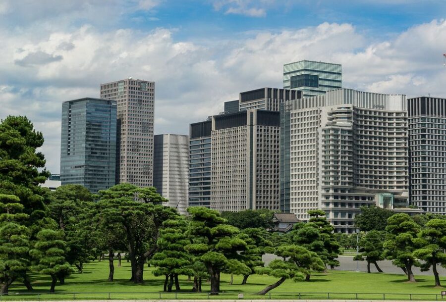 Tokyo: 1-Day Private Customizable Tour by Car - Tsukiji Outer Market: street food energy before the crowds fully settle