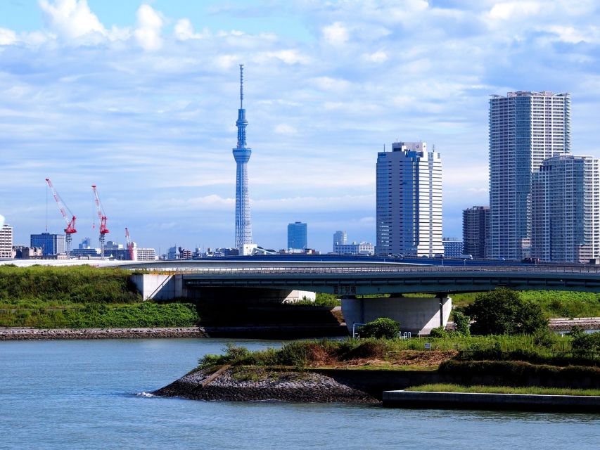 Tokyo: 1-Day Private Customizable Tour by Car - Harajuku and Takeshita Street: youth fashion chaos, managed in comfort