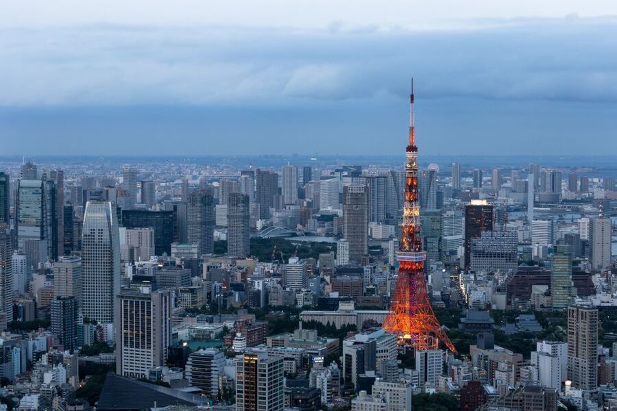 Tokyo: 1-Day Private Customizable Tour by Car - Designing your day: customizable route or the default hit-list