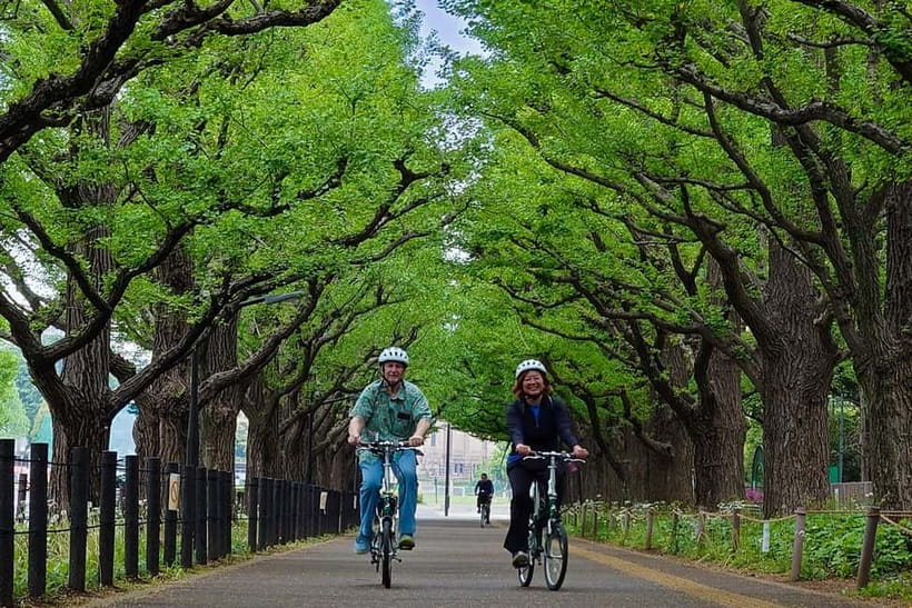 Tokyo: 3h Private E-bike Tours, Starting at Your Hotel - Key things that make this Tokyo e-bike tour work