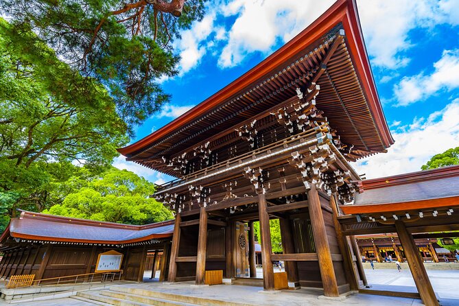 Tokyo 6 hour Tour : English Speaking Driver Only, No Guide - Pickup, van comfort, and pacing in a big city