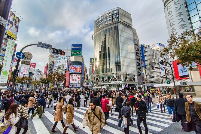 Tokyo 6hr Instagram Highlights Private Tour with Licensed Guide - Price and value: what $155.22 per person really buys