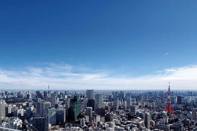 Tokyo 6hr Instagram Highlights Private Tour with Licensed Guide - Stop-by-stop guide to what you will actually see