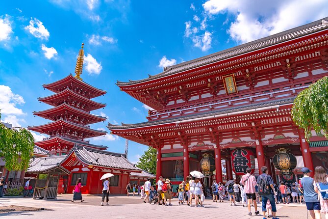 Tokyo 6hr Instagram Highlights Private Tour with Licensed Guide - Who this tour suits best
