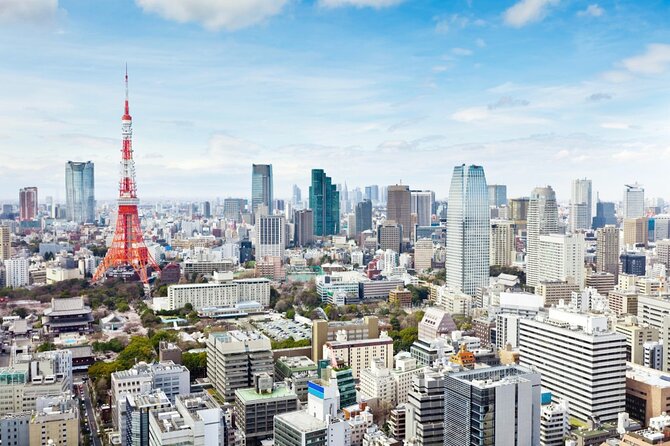 Tokyo 8hr Private Tour with Government-Licensed Guide - Price and Logistics: What $201.51 Buys for an 8-Hour Tokyo Day