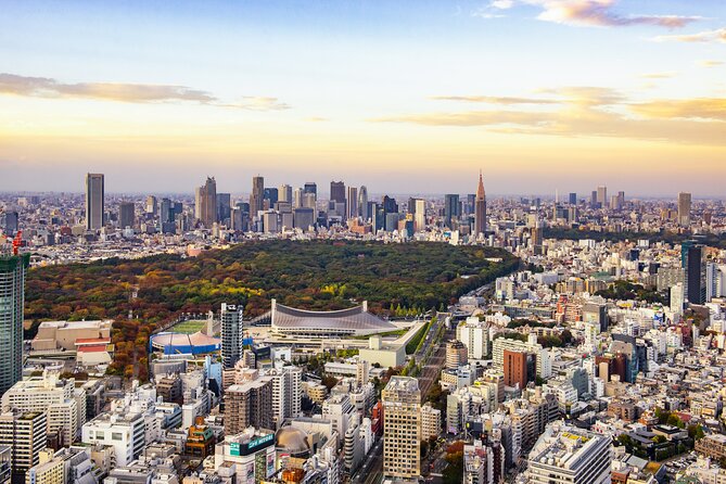 Tokyo 8hr Private Tour with Licensed Guide from Yokohama - Picking Your Stops: Choose 3 to 4 from the Tokyo Mix