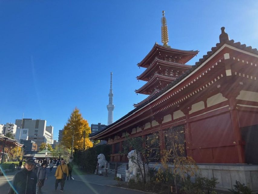 Tokyo: A Half-Day Trip Bus Tour in the Morning - Should you book this Tokyo half-day bus tour?