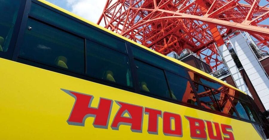 Tokyo: A Half-Day Trip Bus Tour in the Morning - What to watch for before you go
