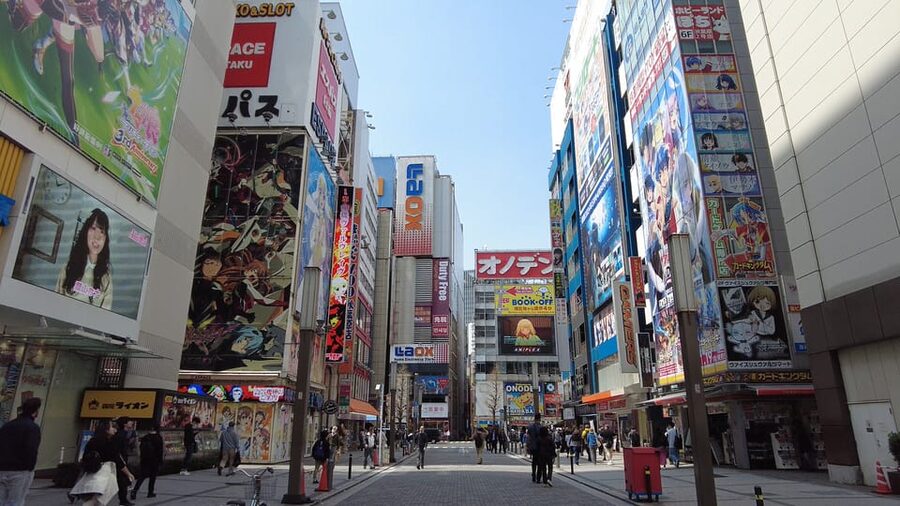 Tokyo Akihabara, Anime, Manga, Video Games & Maid Cafe Tour - Akihabara in 2-3 hours, with a guide who reads your wish list