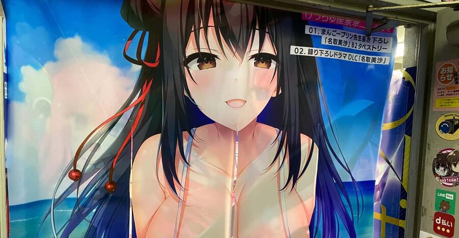 Tokyo: Akihabara Private Hentai Tour - Meeting at Akihabara Station and Getting Your Plan on Track